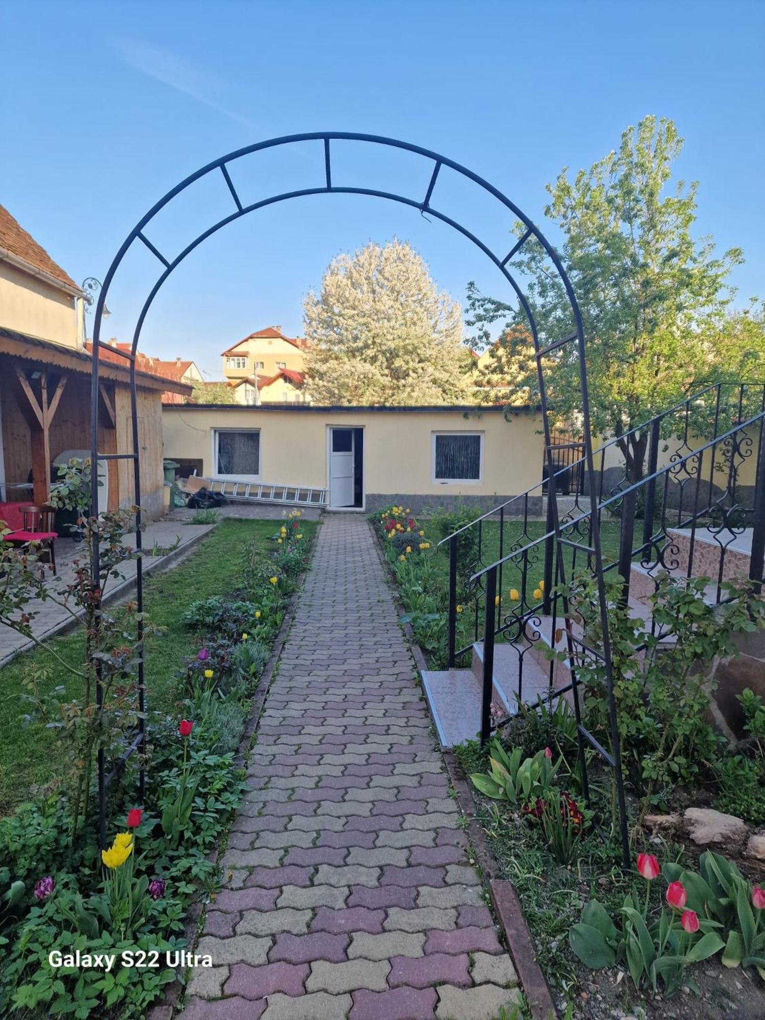 Apartament Teilor Risnov Exterior photo