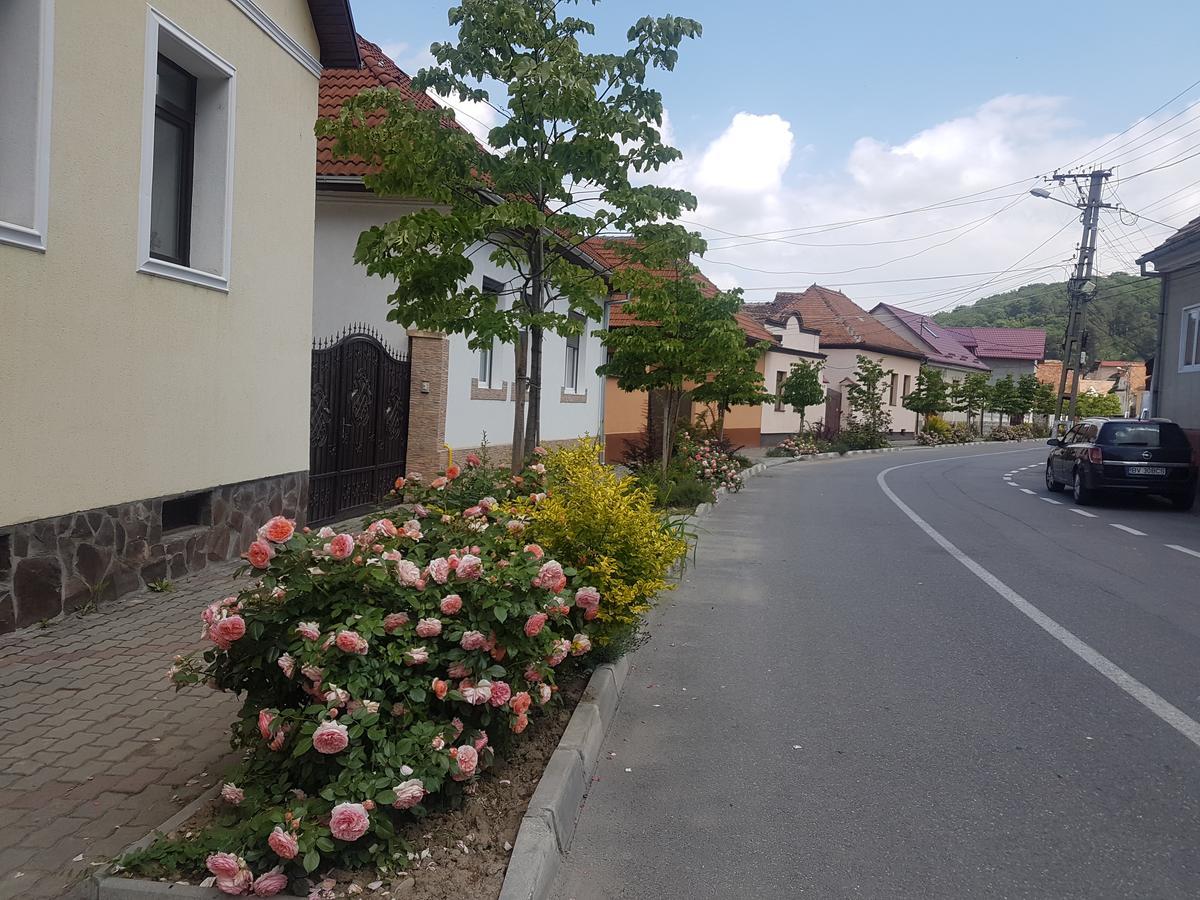 Apartament Teilor Risnov Exterior photo